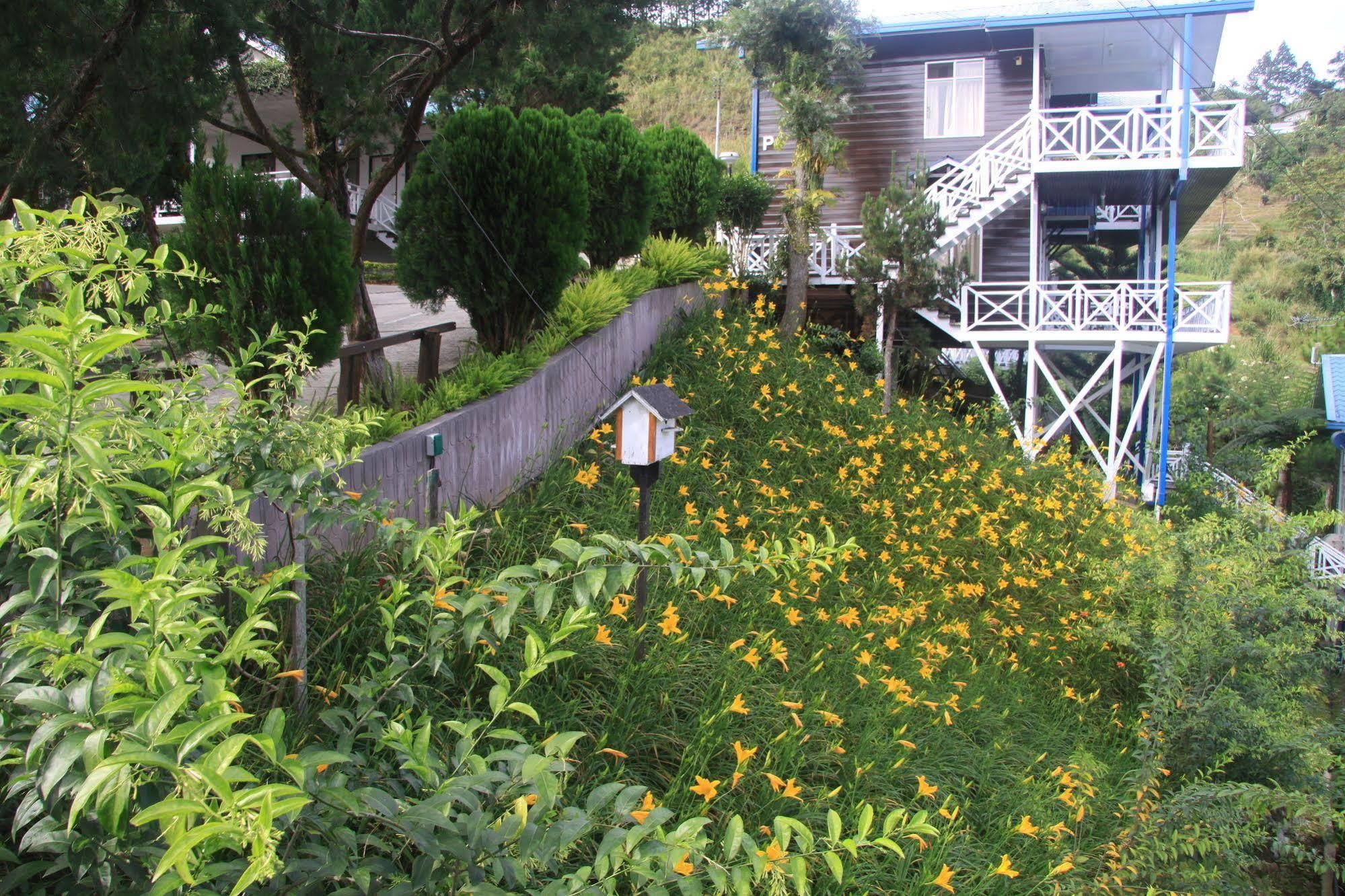 Kinabalu Pine Resort Kampong Kundassan Exteriör bild